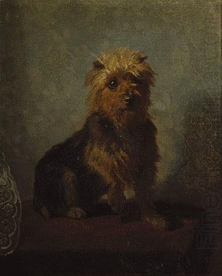 Abbott Handerson Thayer Chadwick's Dog china oil painting image